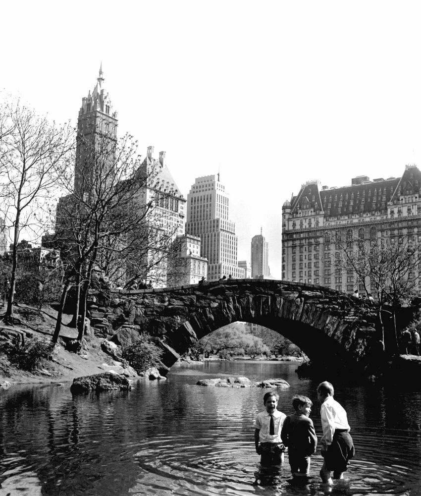 New York Portfolio — Fred Stein